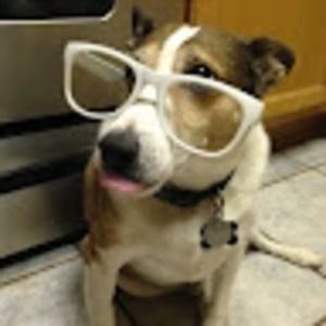 Meet your Posher, Carlyn